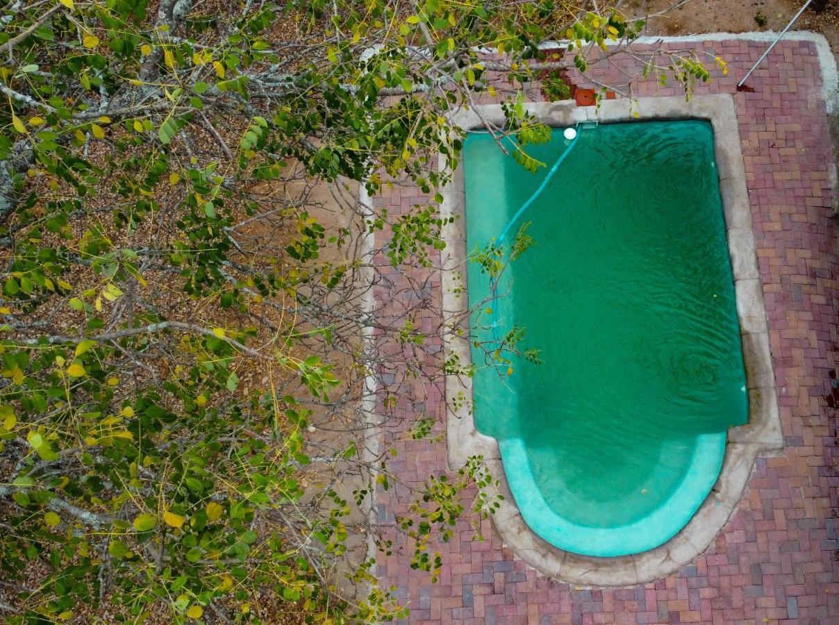 Nanisto Bush Lodge Marloth Park Esterno foto