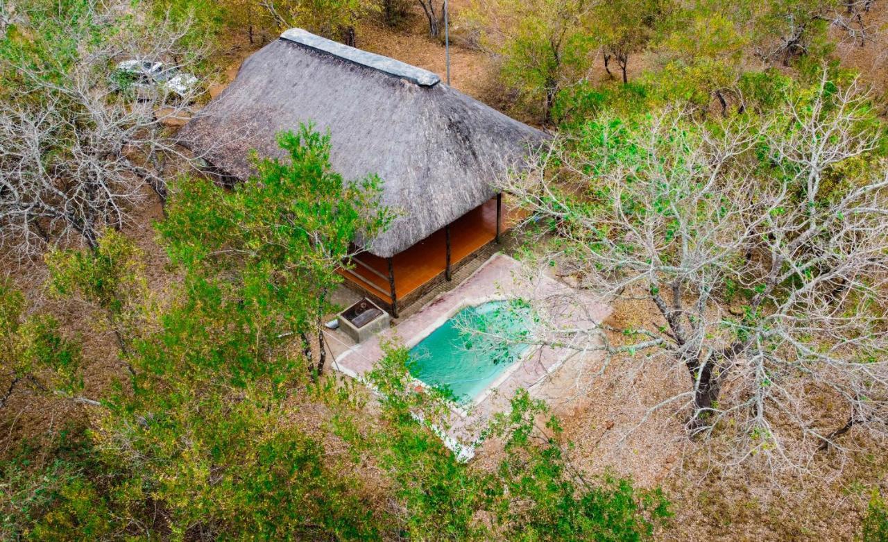 Nanisto Bush Lodge Marloth Park Esterno foto