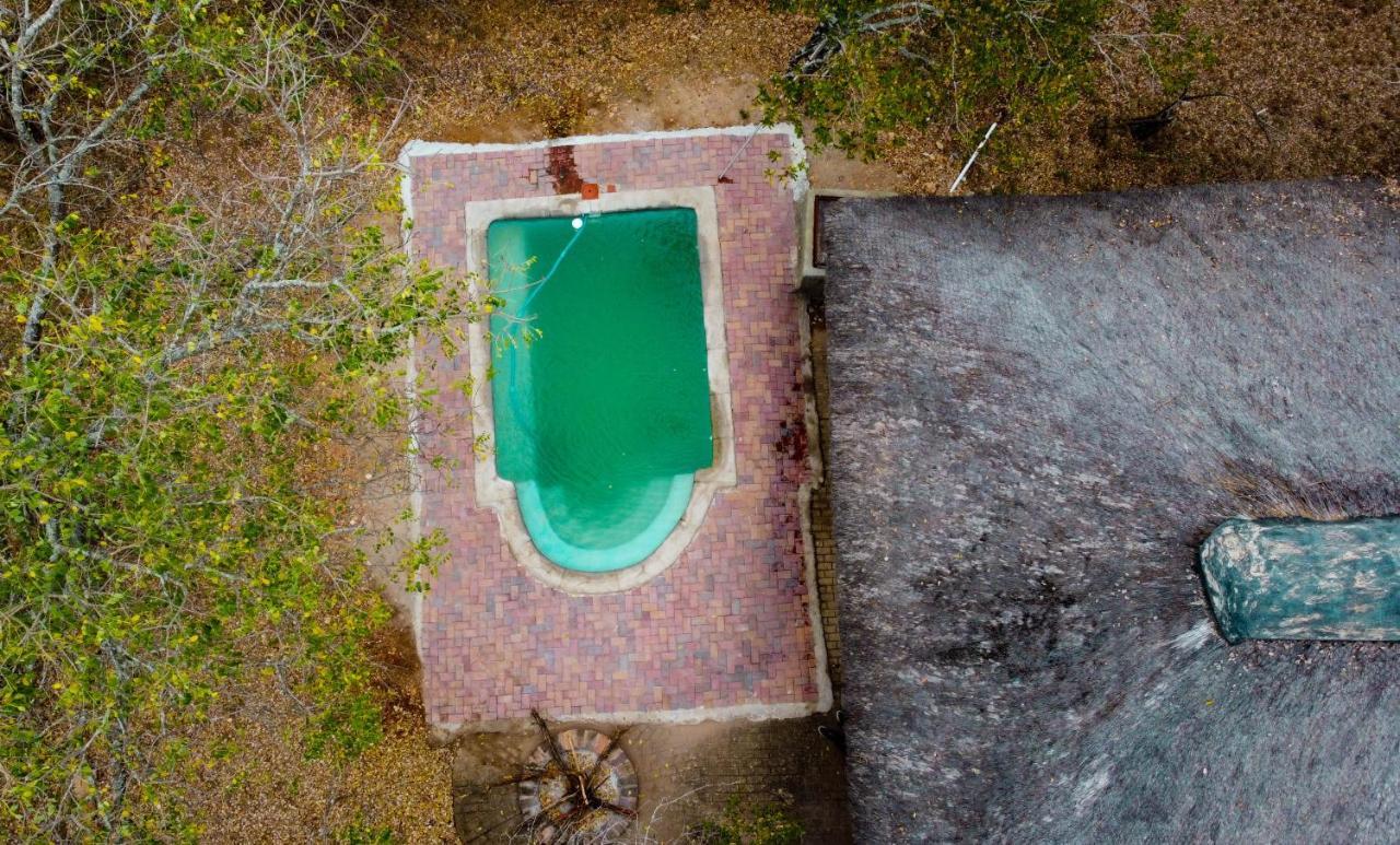 Nanisto Bush Lodge Marloth Park Esterno foto