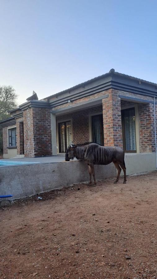Nanisto Bush Lodge Marloth Park Esterno foto