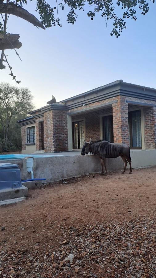 Nanisto Bush Lodge Marloth Park Esterno foto