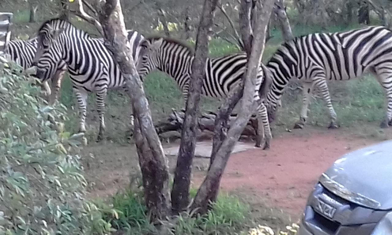 Nanisto Bush Lodge Marloth Park Esterno foto